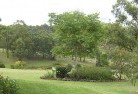 Woorarra Westresidential-landscaping-40.jpg; ?>